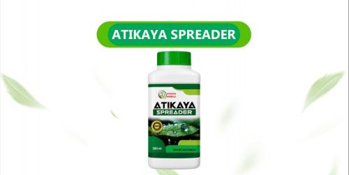 Awesome Product Image
